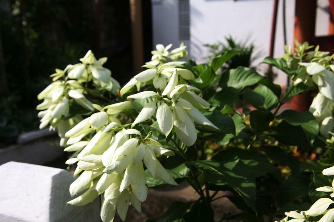 The Springfields Kandy Previously Madara Residence 康提 外观 照片